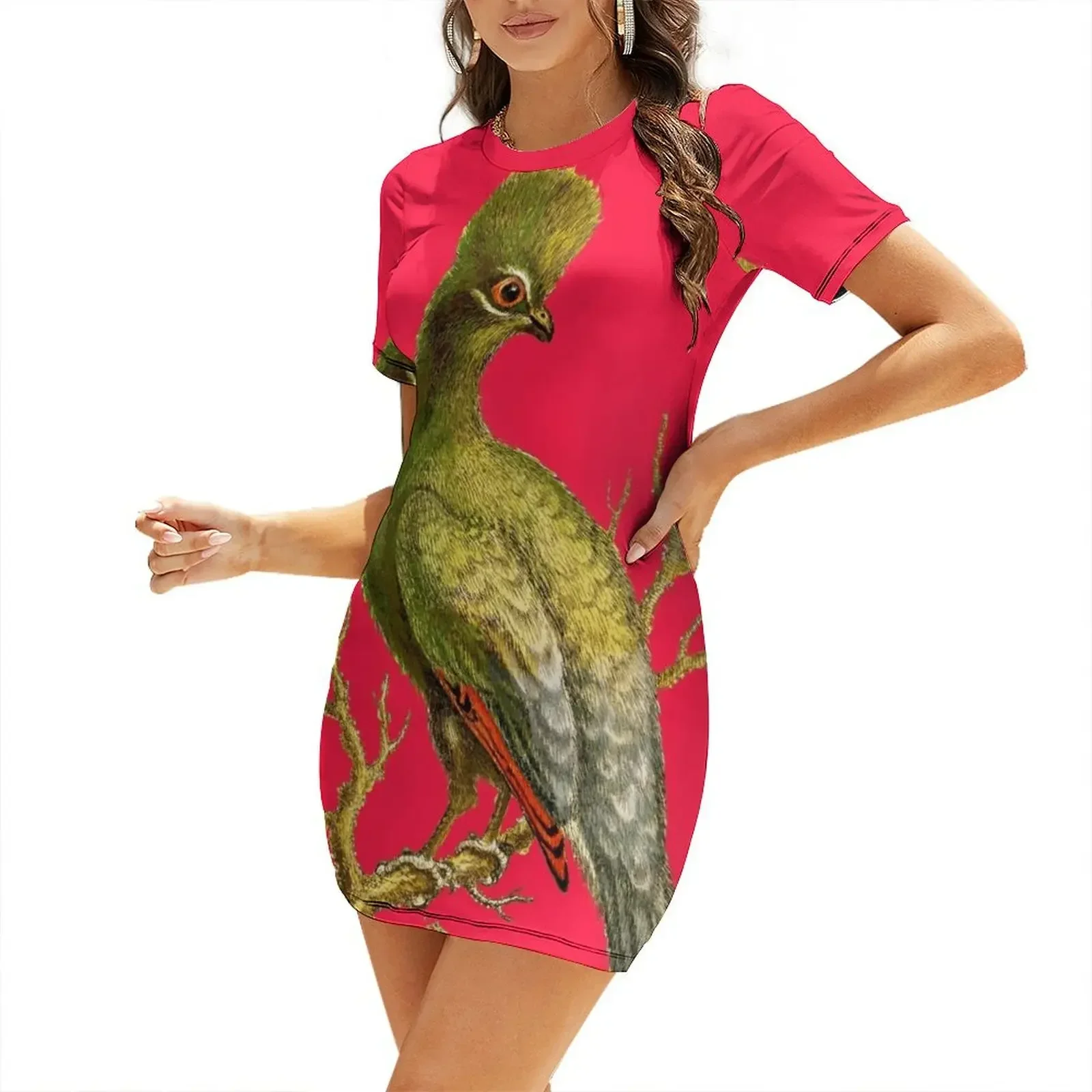 Touraco - Bird HD vintage imag - Women'S Fashion Dresses Images recensione e prezzo