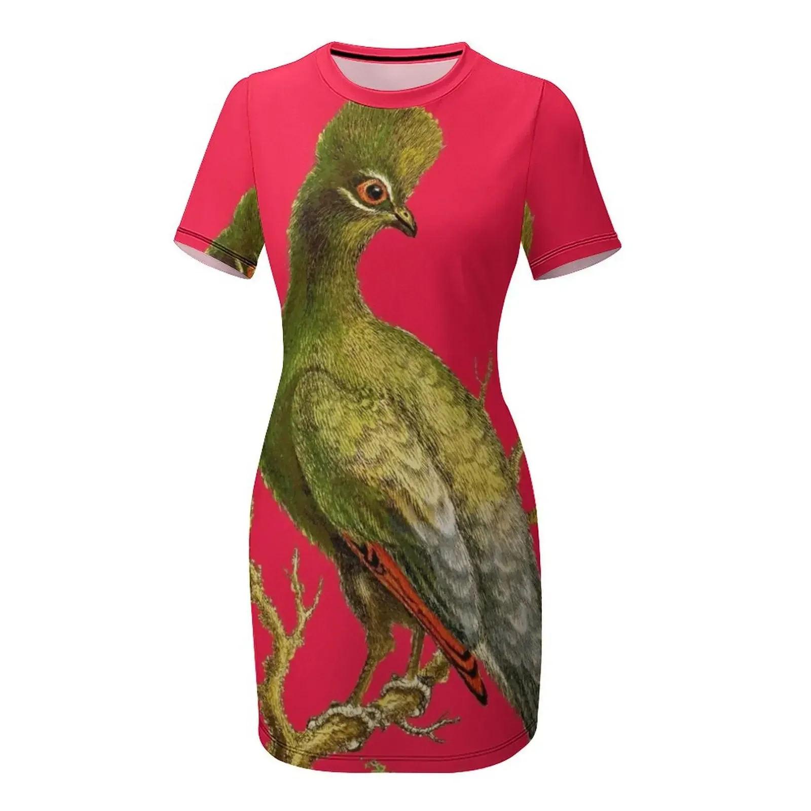 Touraco - Bird HD vintage imag - Women'S Fashion Dresses Images recensione e prezzo